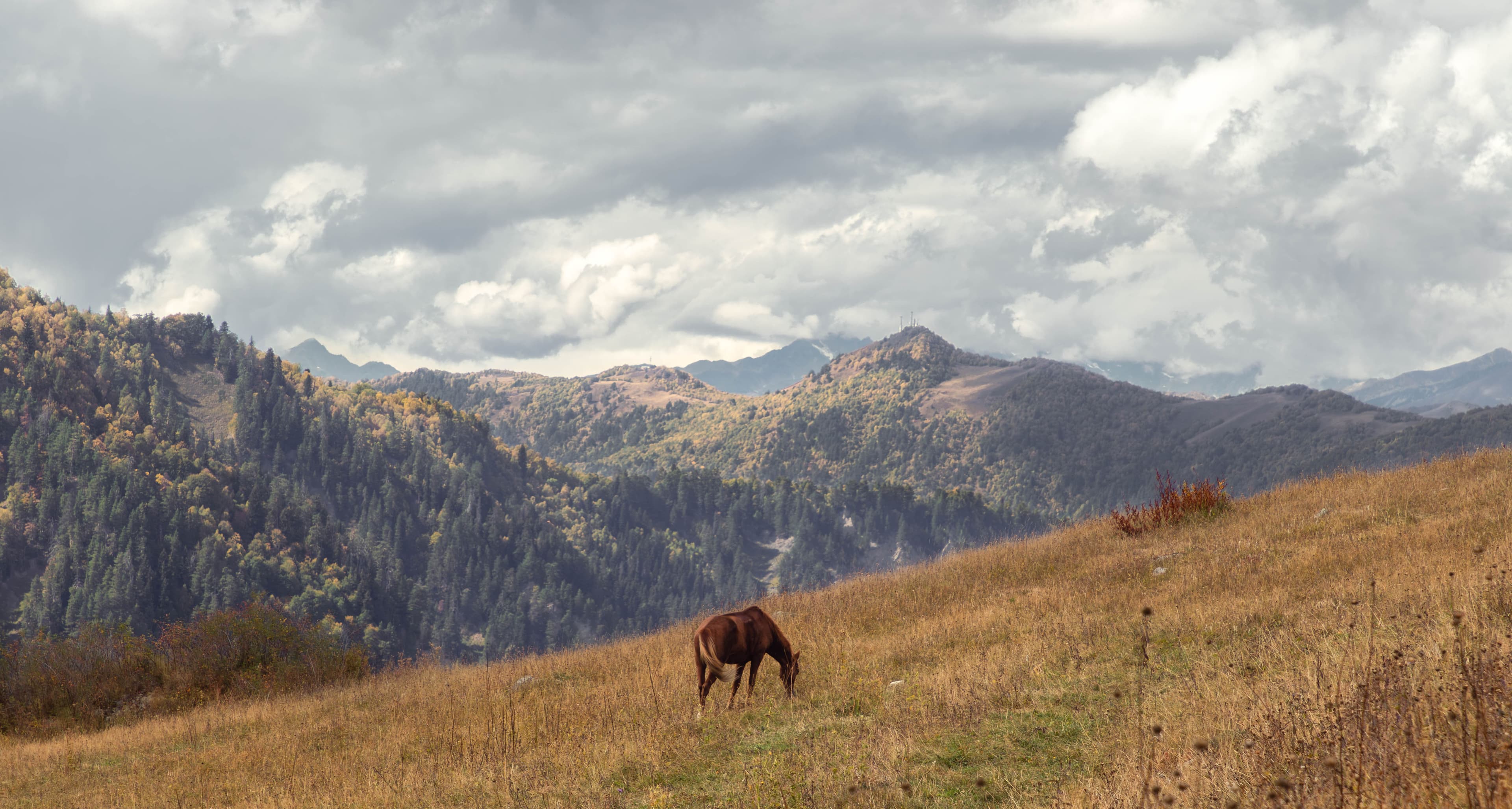 Paisaje de montaña abierto